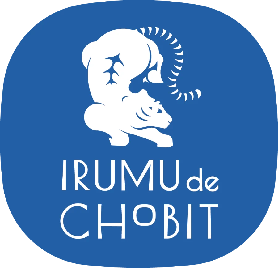 IRUMU de CHOBIT