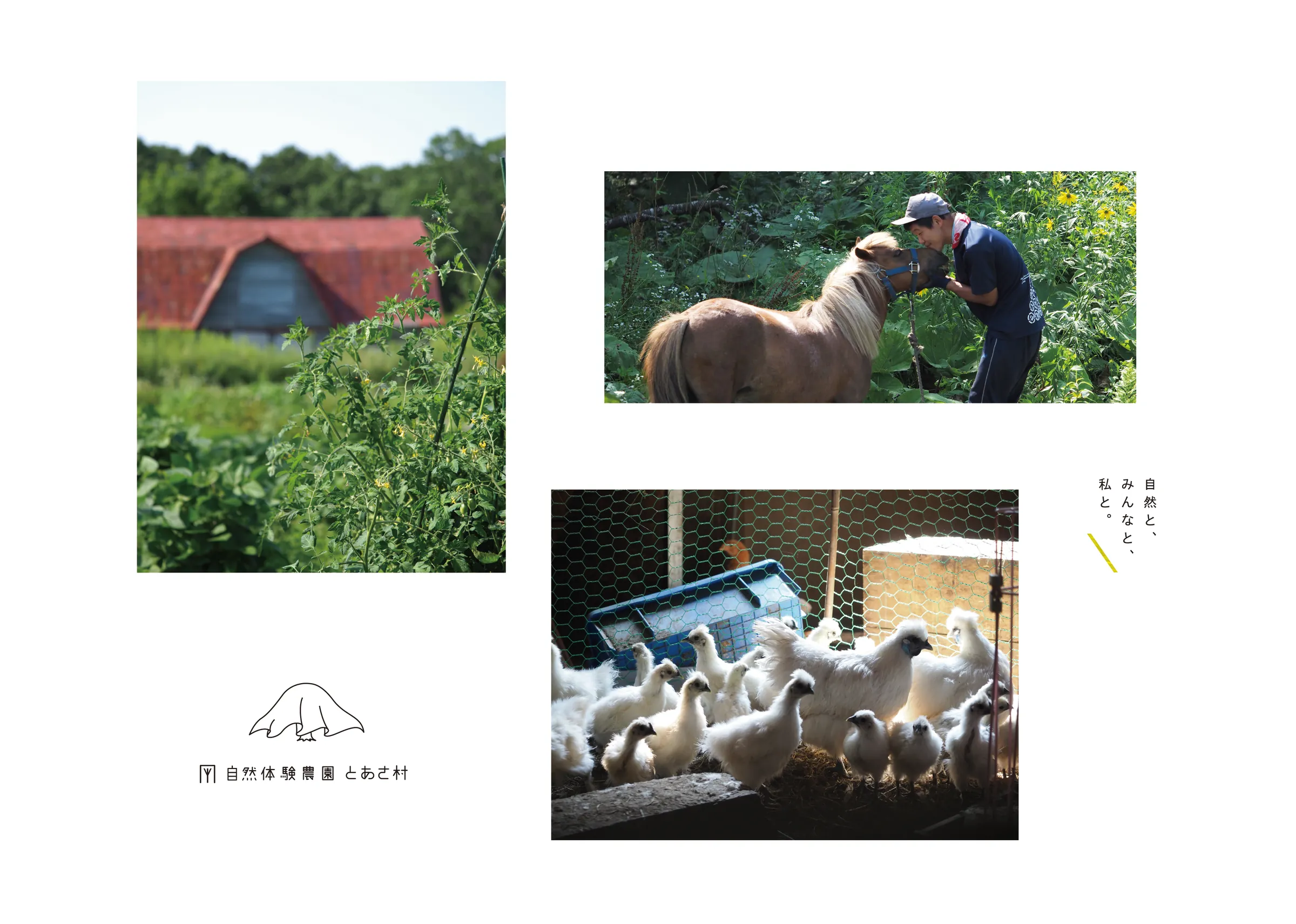 Toasa Mura Nature Farm